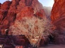 4 day 3 night tour Classic Petra & Wadi Rum Tour from Aqaba Airport  4