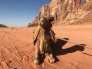 4 day 3 night tour Classic Petra & Wadi Rum Tour from Aqaba Airport 1