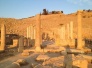 Pella (Tabaqat Fahl) tour from Petra 