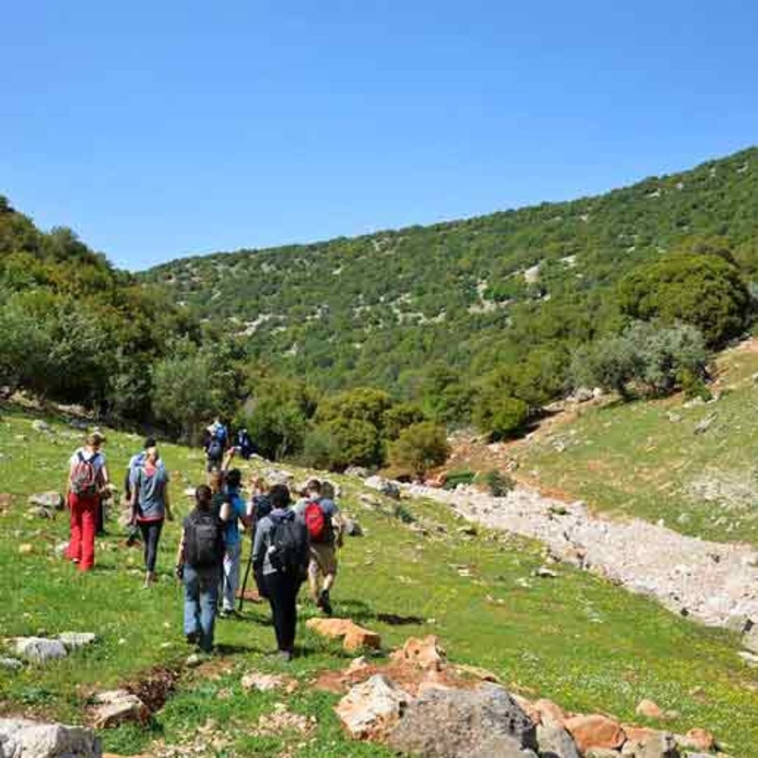 Jerash, Ajloun and Um Qais from Dead Sea