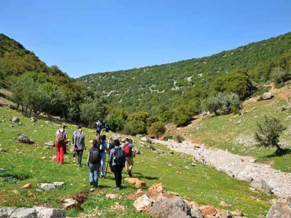 Jerash, Ajloun and Um Qais from Dead Sea
