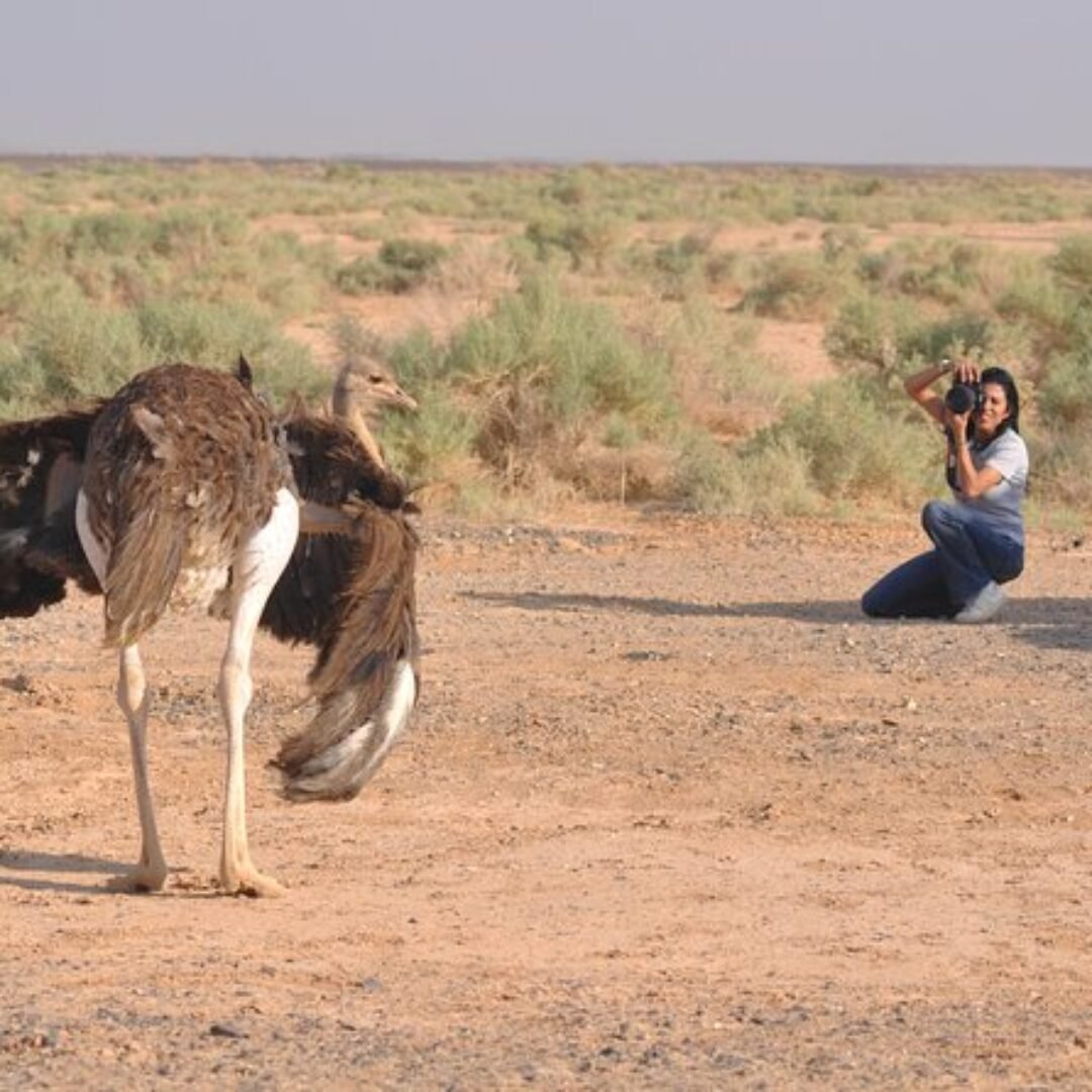 Eastern Desert Castles, Shaumari Reserve and Azraq Wetlands