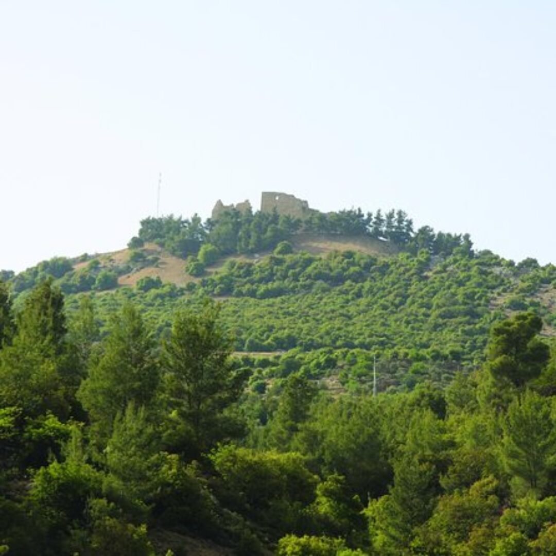 Jerash, Ajloun and Um Qais from Dead Sea
