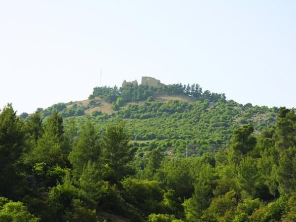 Jerash, Ajloun and Um Qais from Dead Sea