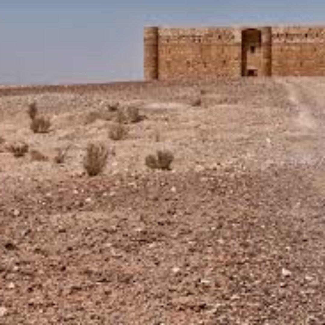 Eastern Desert Castles Half Day Trip from Amman