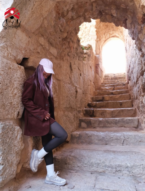 Jerash Ajloun Um Qais Day Tour from Amman