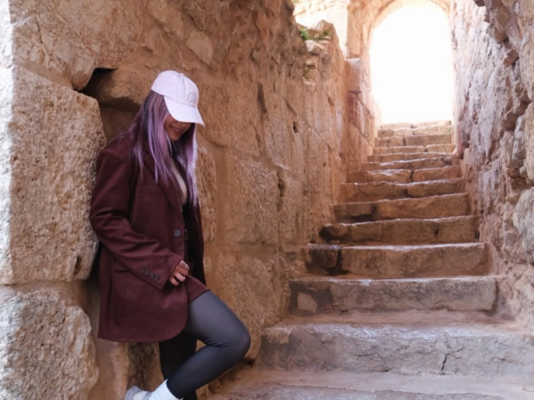 Jerash Ajloun Um Qais Day Tour from Amman