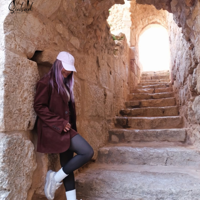 Jerash Ajloun Um Qais Day Tour from Amman