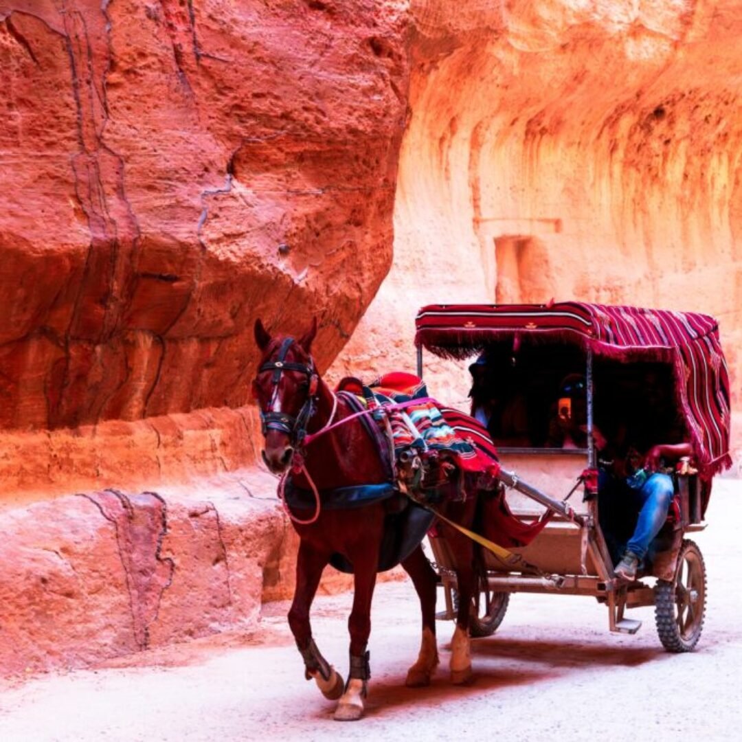 Amman to Petra Via Madaba